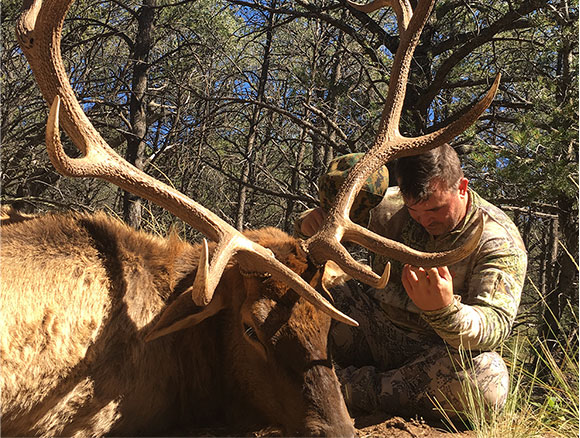 new mexico elk outfitter